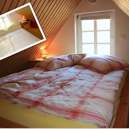 Backhaus *