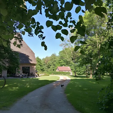 Dom wakacyjny Backhaus Karolinenkoog